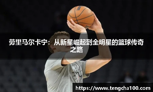 星空入口免费网站