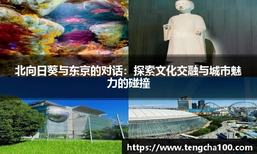 星空入口免费网站