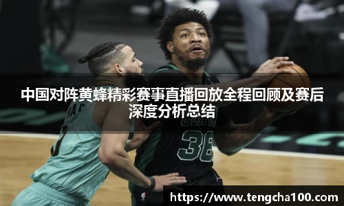 中国对阵黄蜂精彩赛事直播回放全程回顾及赛后深度分析总结